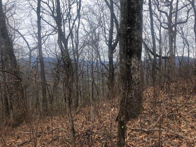 Scenery 2